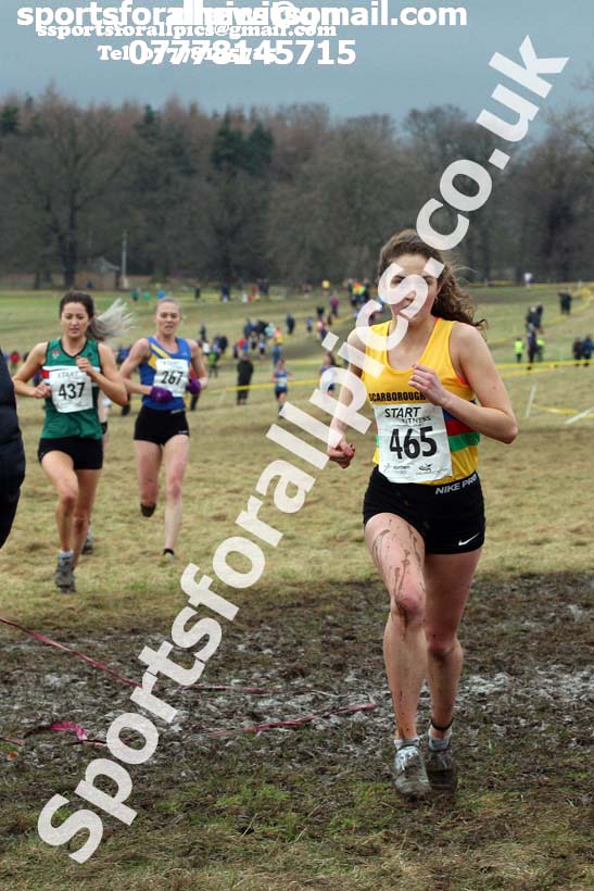 Senior women, 2018 Northern Cross Country Champs., Harewood House, Leeds. Photo: David T. Hewitson/Sports for All Pics